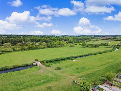 Picture 21